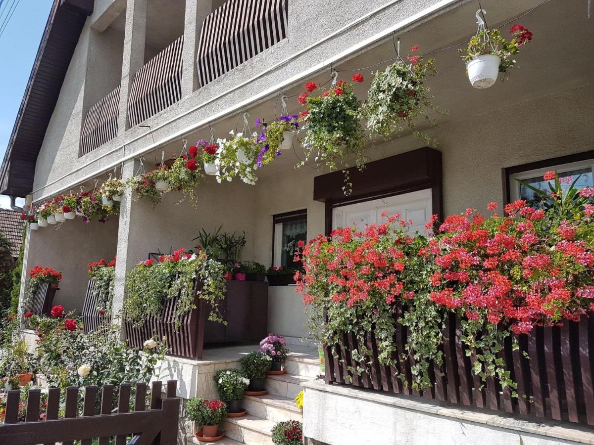 Antal Apartmans Lunca De Sus Kulcsoshaz Gyimesfelsolok Exterior photo