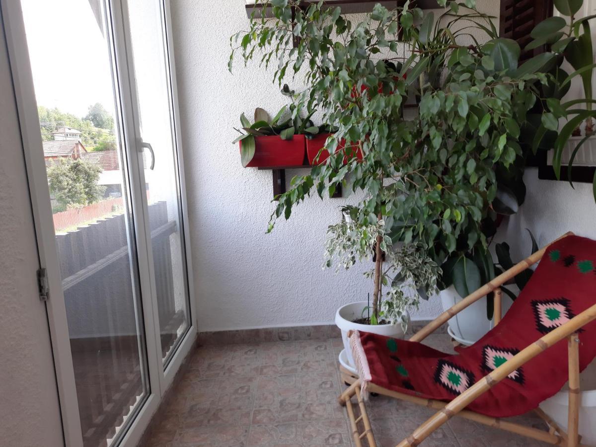 Antal Apartmans Lunca De Sus Kulcsoshaz Gyimesfelsolok Exterior photo