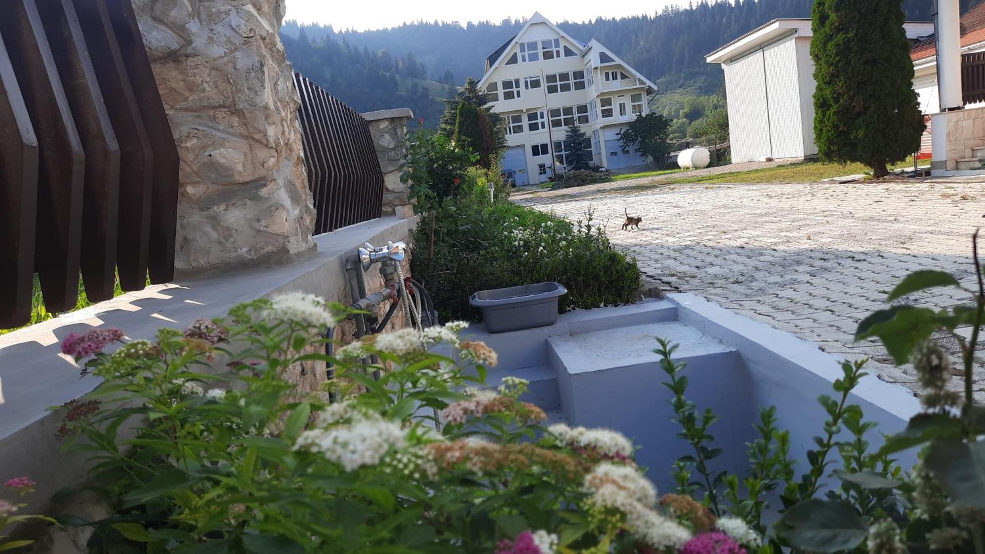 Antal Apartmans Lunca De Sus Kulcsoshaz Gyimesfelsolok Exterior photo